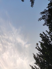 1000212766