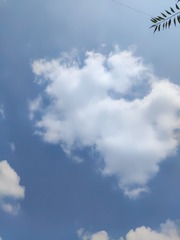 1000208028