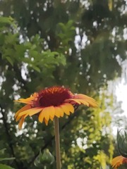 1000207657