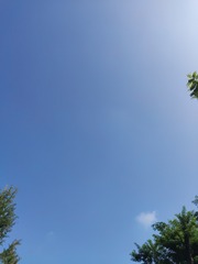 1000211781