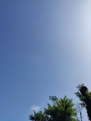 1000211782