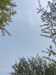 1000206745