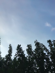 1000208626