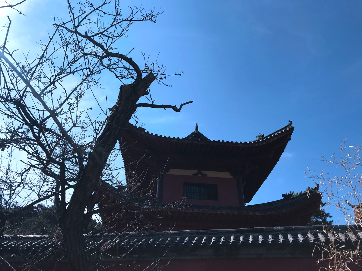 沂山法云寺随拍