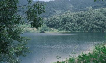DA938F79-1EB0-4C73-8D91-29DD30D0AD5C/L0/001