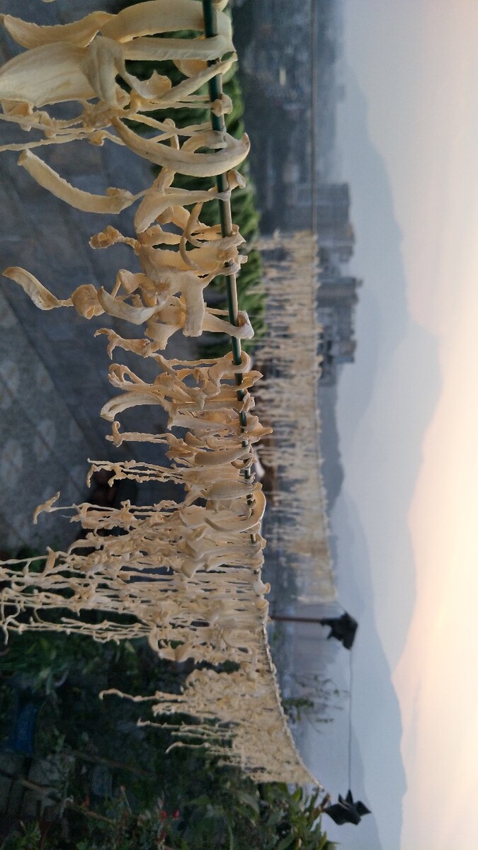 腌制菜