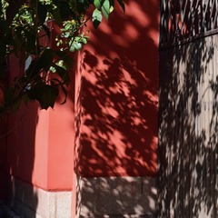 A0C5E589-1BA9-45D0-B44C-1F6F4DDA5AF1/L0/001