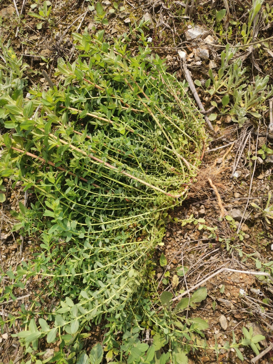 灵魂图片馆 - 图虫