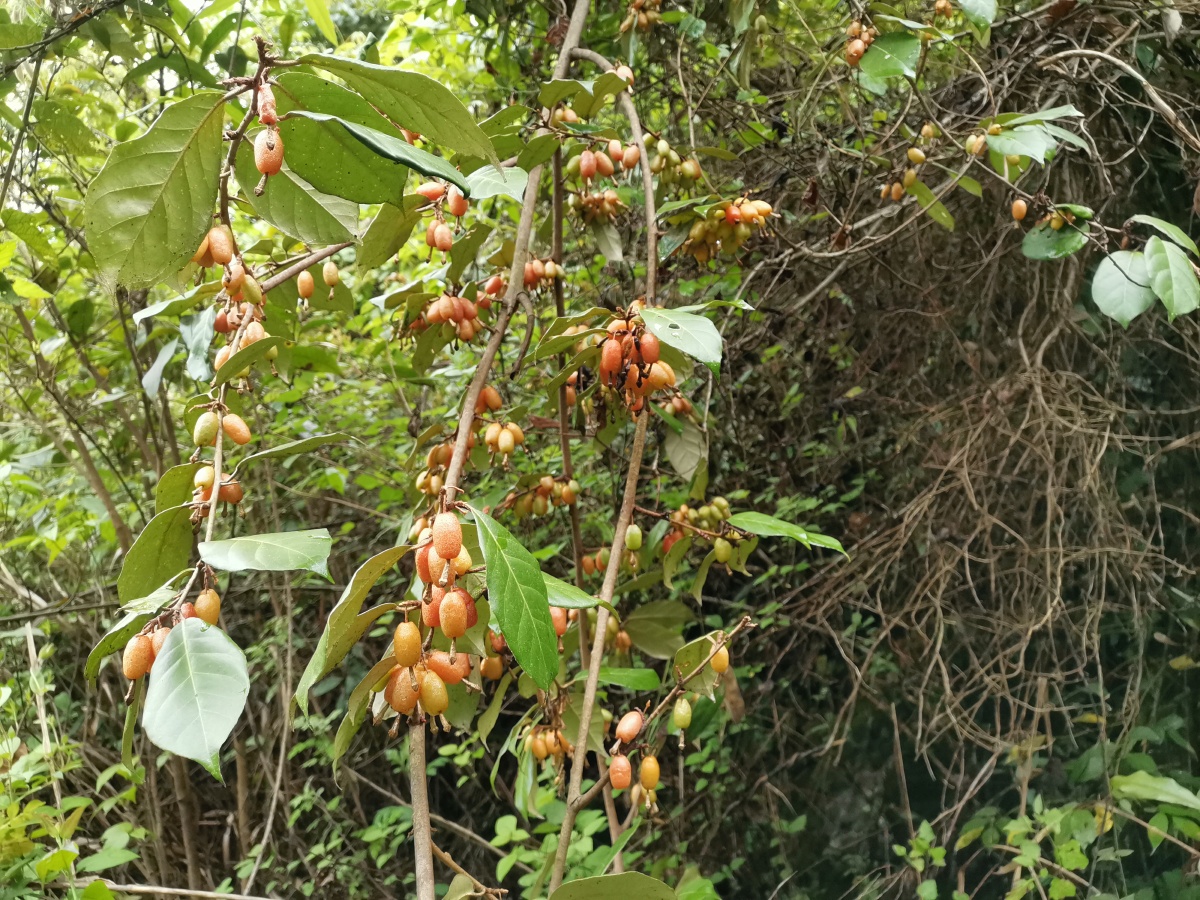 牛奶. - 灵魂图片馆 - 图虫