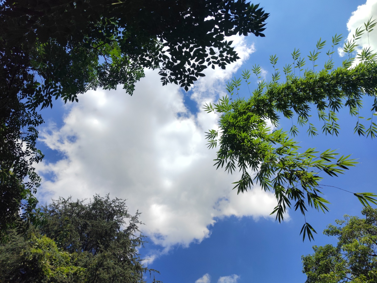 阳光明媚的天空 - 灵魂图片馆 - 图虫