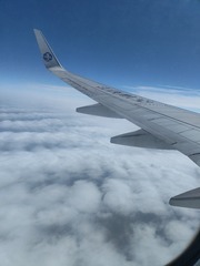 1000032613