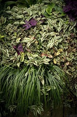 _IGP4186-1