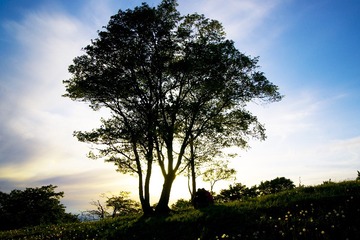 0873F934-FDAC-4C7A-AEAD-216E19EE865C/L0/001