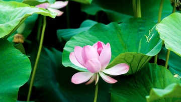 D97319B3-F50C-4975-9AB5-5437C70F4FFE/L0/001