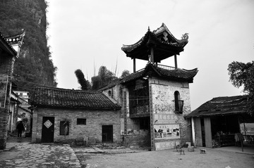 _DSC0513