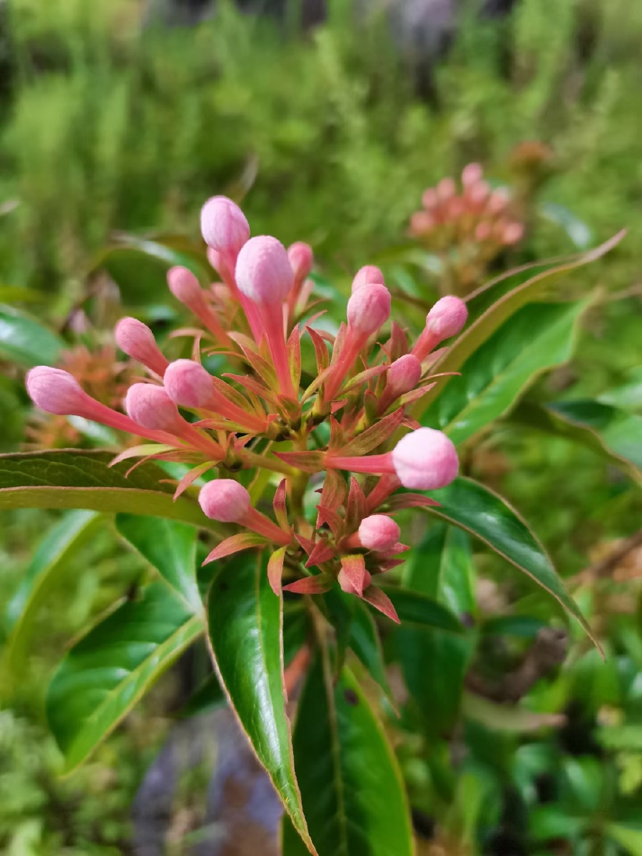 清晨八点半 - 图虫