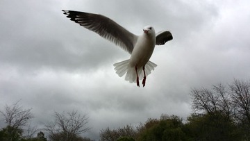 2219