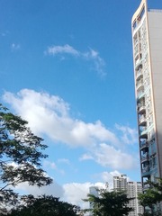 1960419