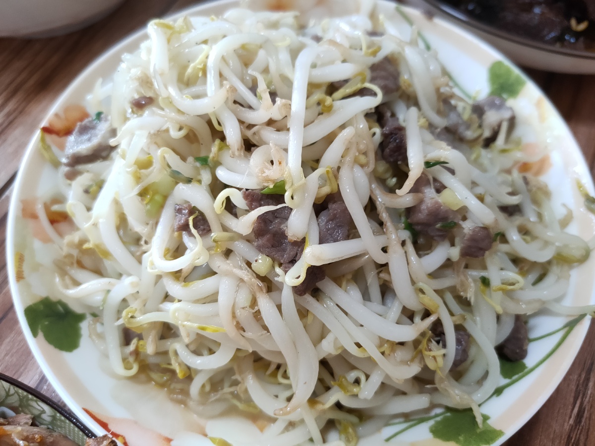 大东北肉炒笨豆芽