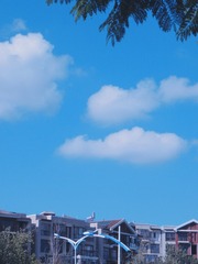 72A6E463-51A7-404D-925D-264764B7C711/L0/001