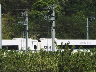 1B77A56D-EDE9-4A7A-814C-8249FD346426/L0/001