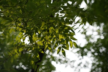 DD9126C0-0BD4-424C-8656-8D92A2762580/L0/001