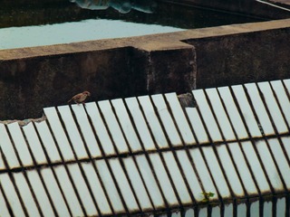 19641