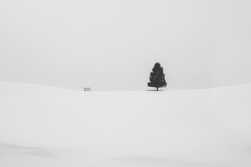3630