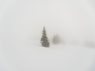 25764