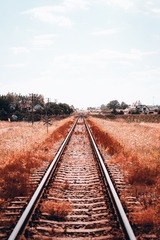 67566