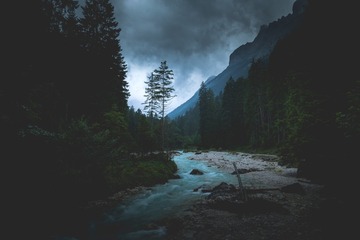 28998