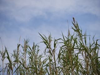 8030