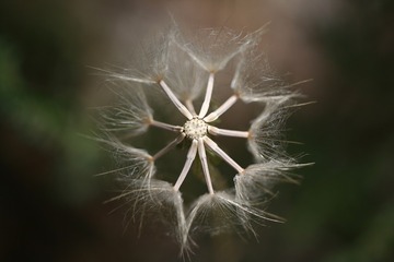 284