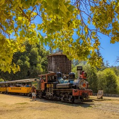 67873