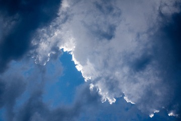 4601