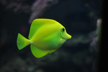 5959