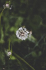 910