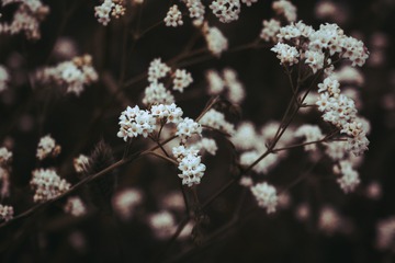 5817