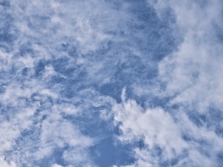7837