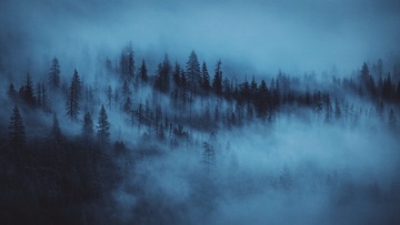 61081