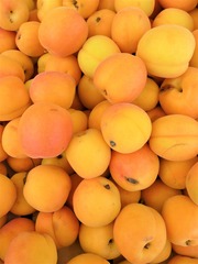 5207
