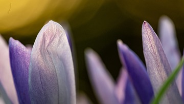 4715