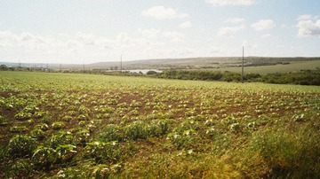 1866