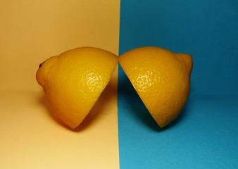 2564