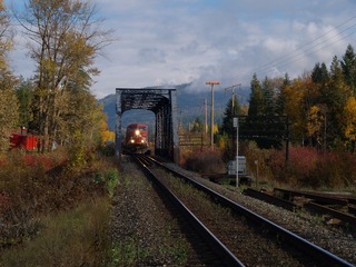 67523