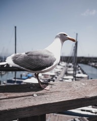 71206