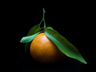 3018