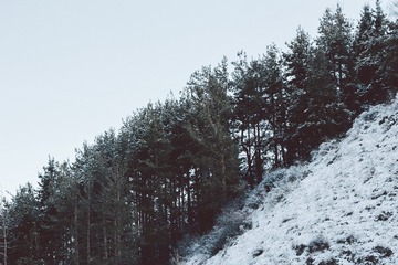 267