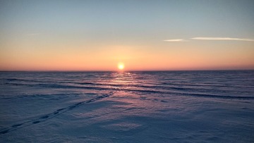 35981
