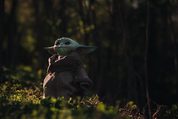 49360
